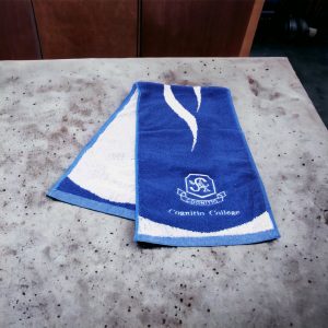 Towel Customization